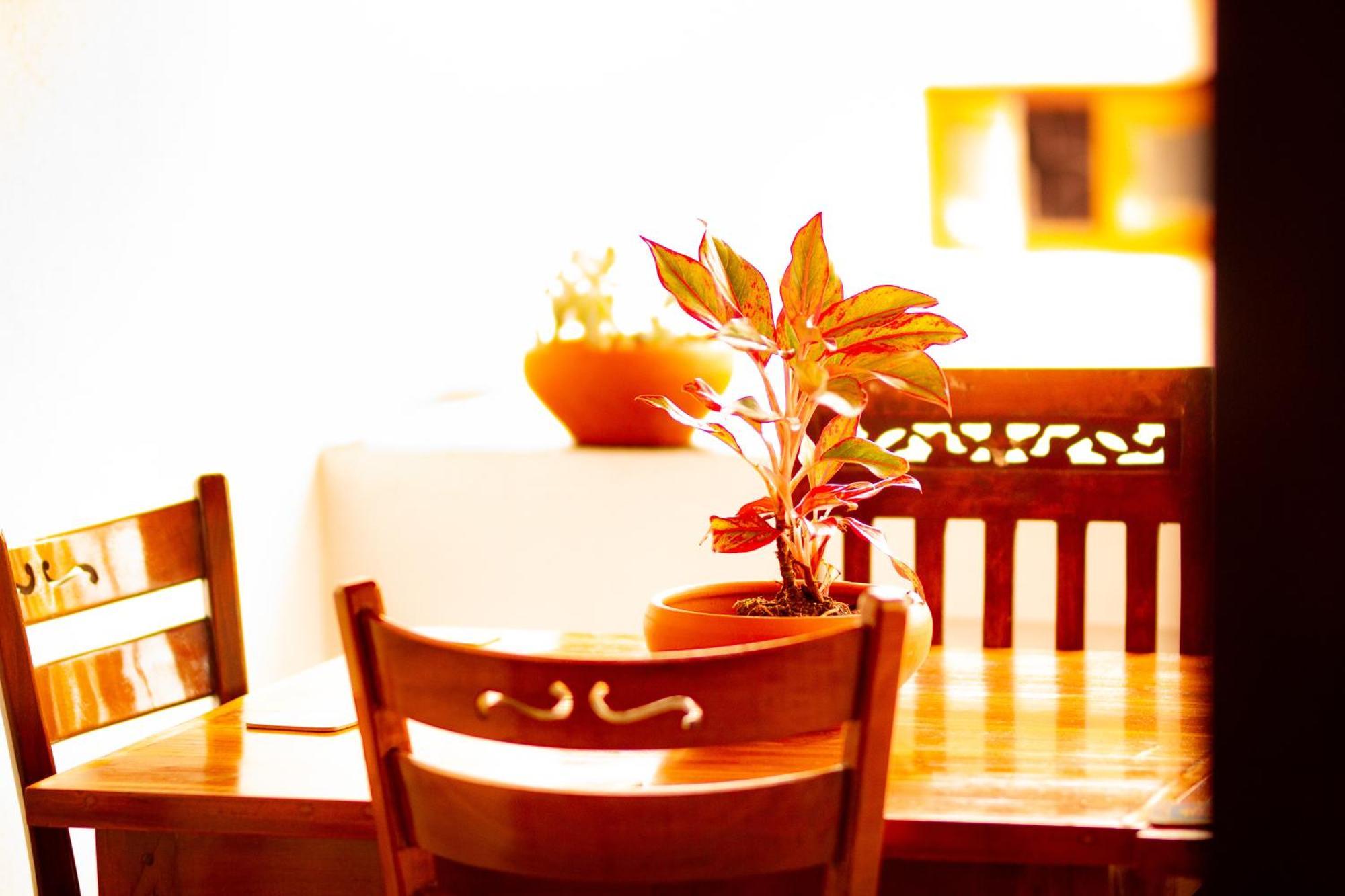 Golden Town Hotel Tangalle Kültér fotó
